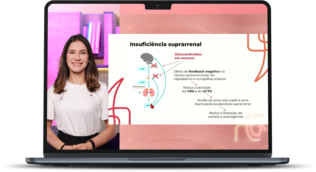 Imagem para Aulas Anais