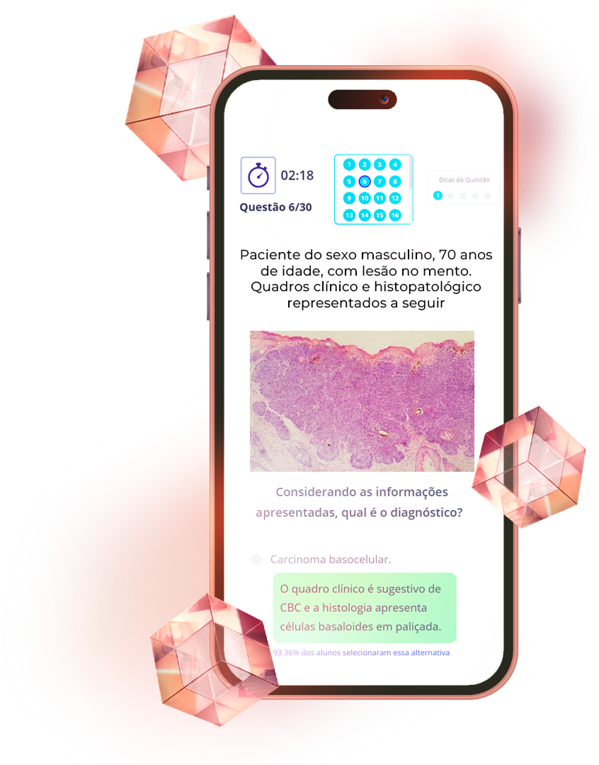 Interface do aplicativo